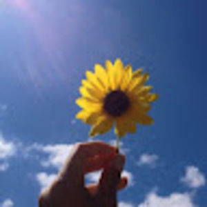 Meet your Posher, Isabella